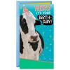 Herd It's Your Day Funny Money Holder Birthday Card for Kids
