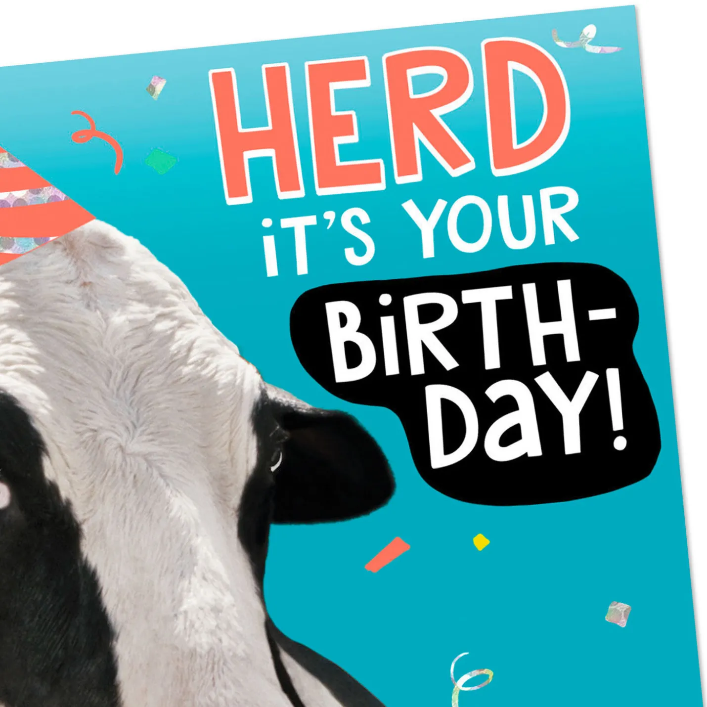 Herd It's Your Day Funny Money Holder Birthday Card for Kids