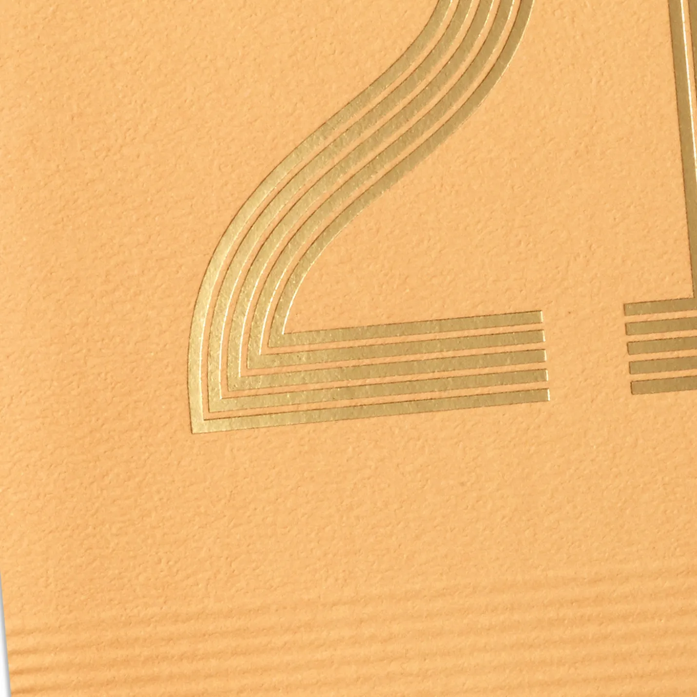 Here's to You! 21st Birthday Card
