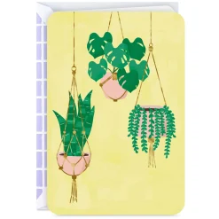 Houseplants in Hanging Baskets Blank Card