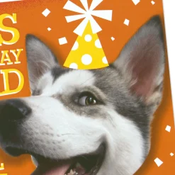Hugging Dog Pop-Up Birthday Card With Mini Cards