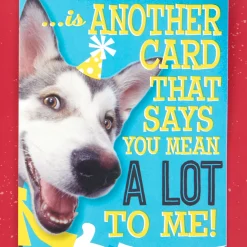 Hugging Dog Pop-Up Birthday Card With Mini Cards
