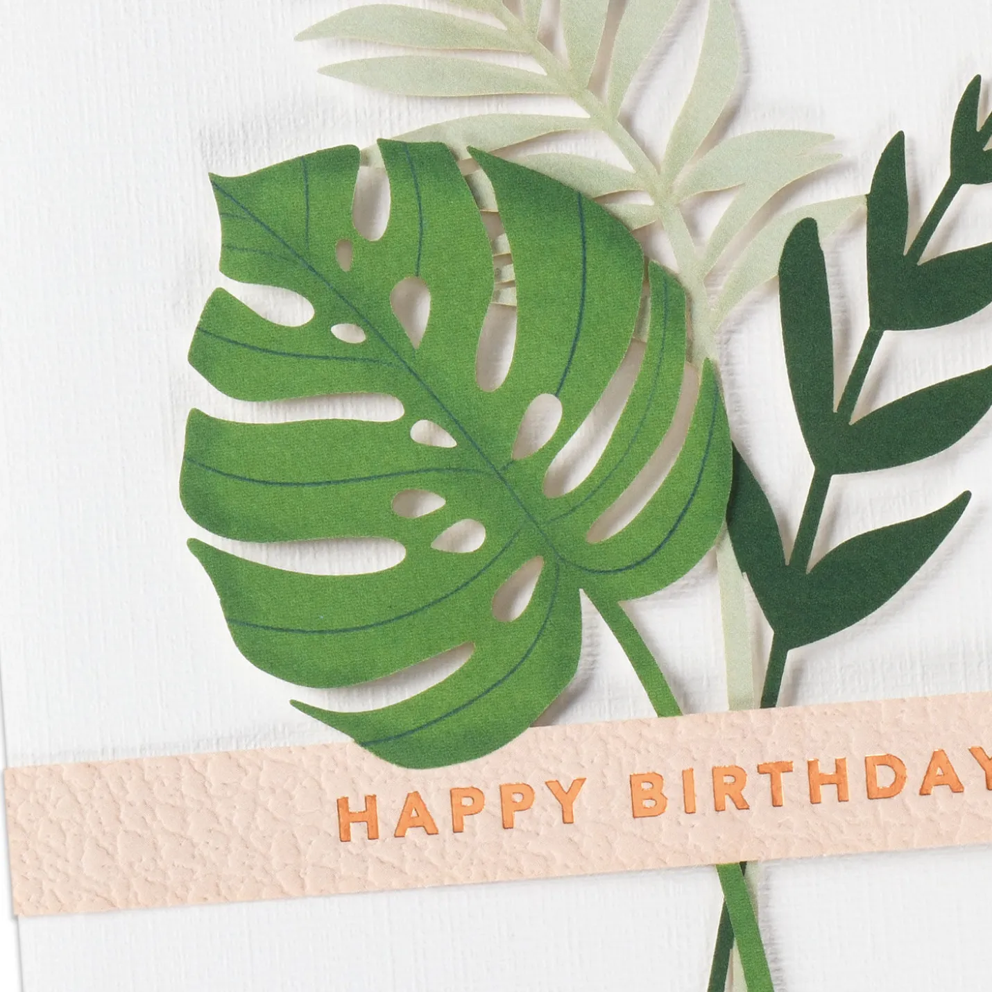 I Love Every Year of You Romantic Birthday Card