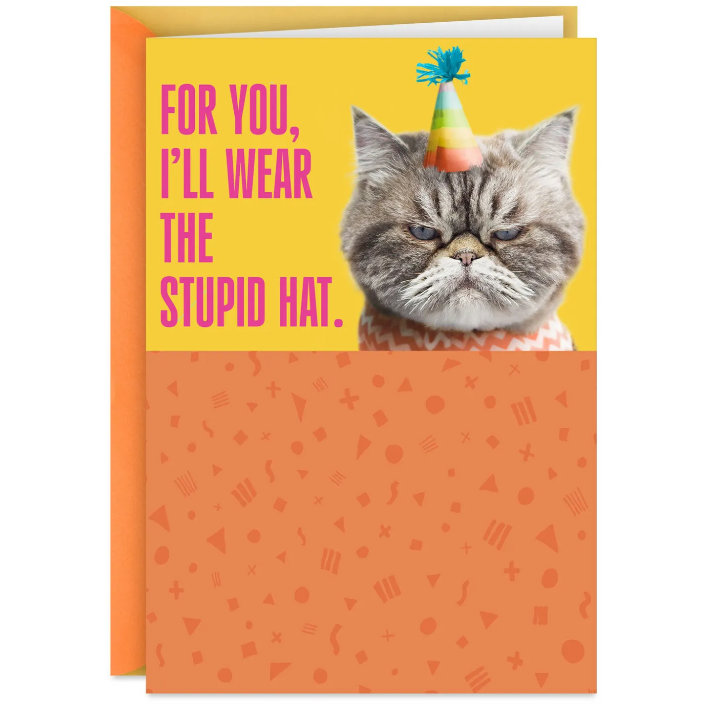 Kevin the Cat Won't Sing Funny Birthday Card