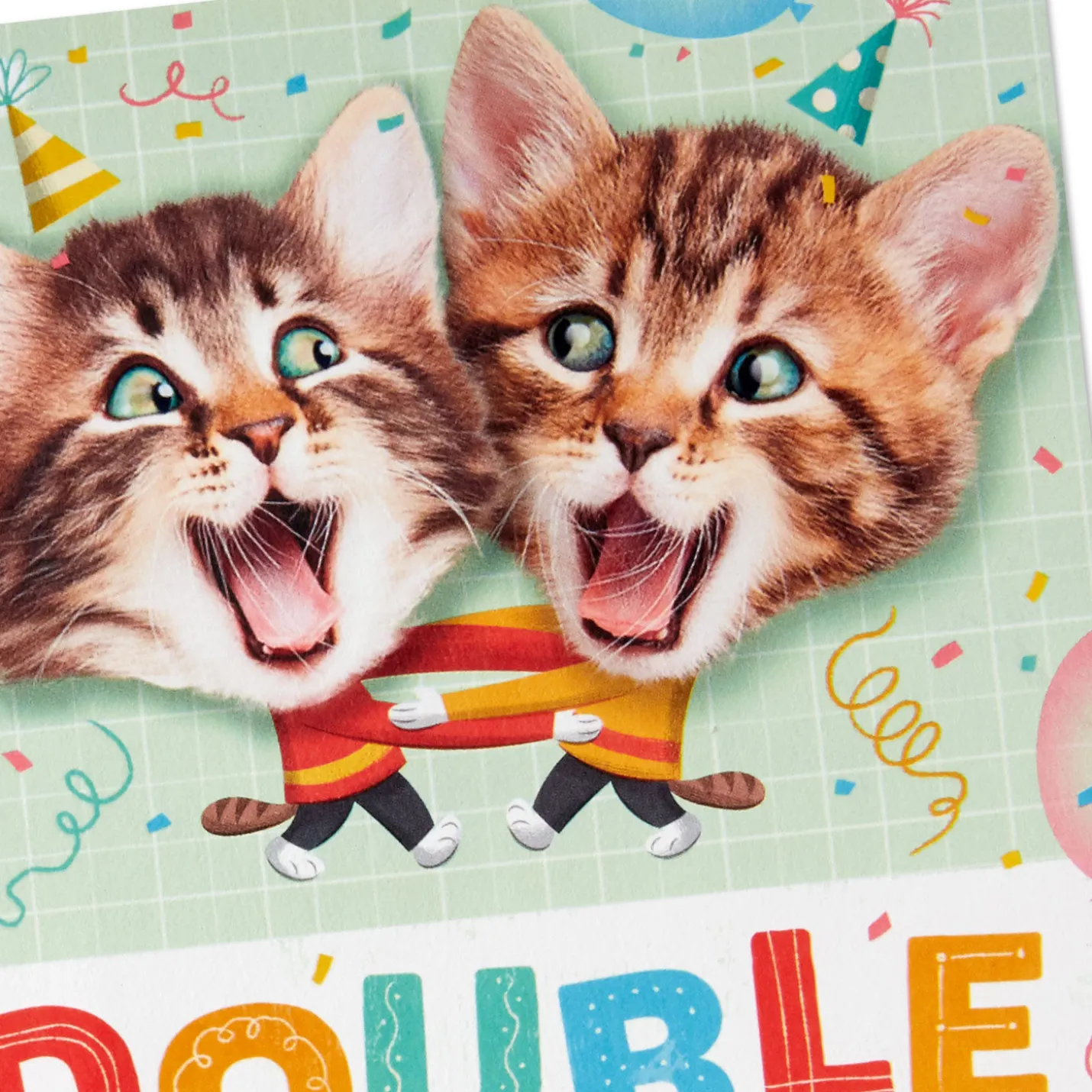 Kittens Kids Double Birthday for Twins Card