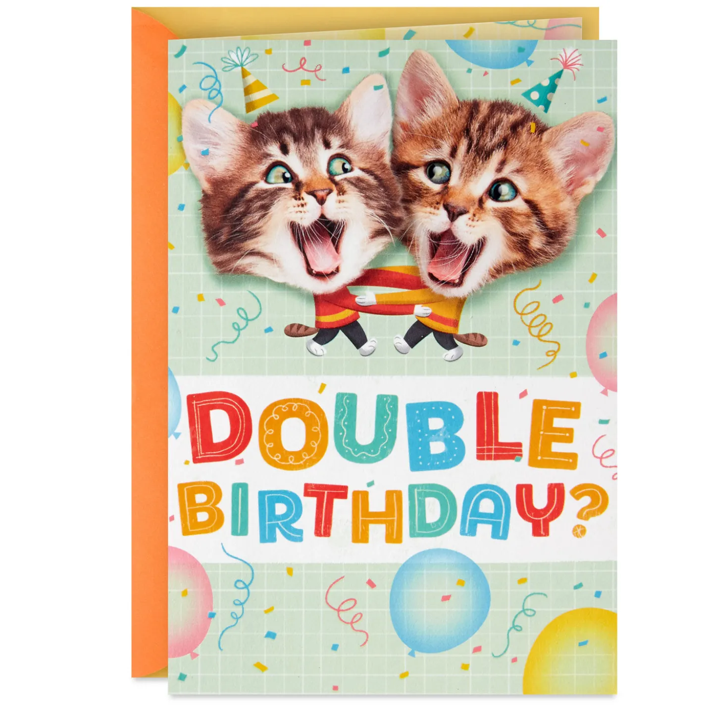 Kittens Kids Double Birthday for Twins Card
