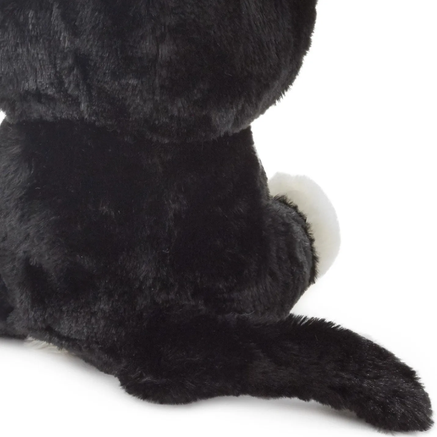 Kitten Stuffed Animal, 7.2"
