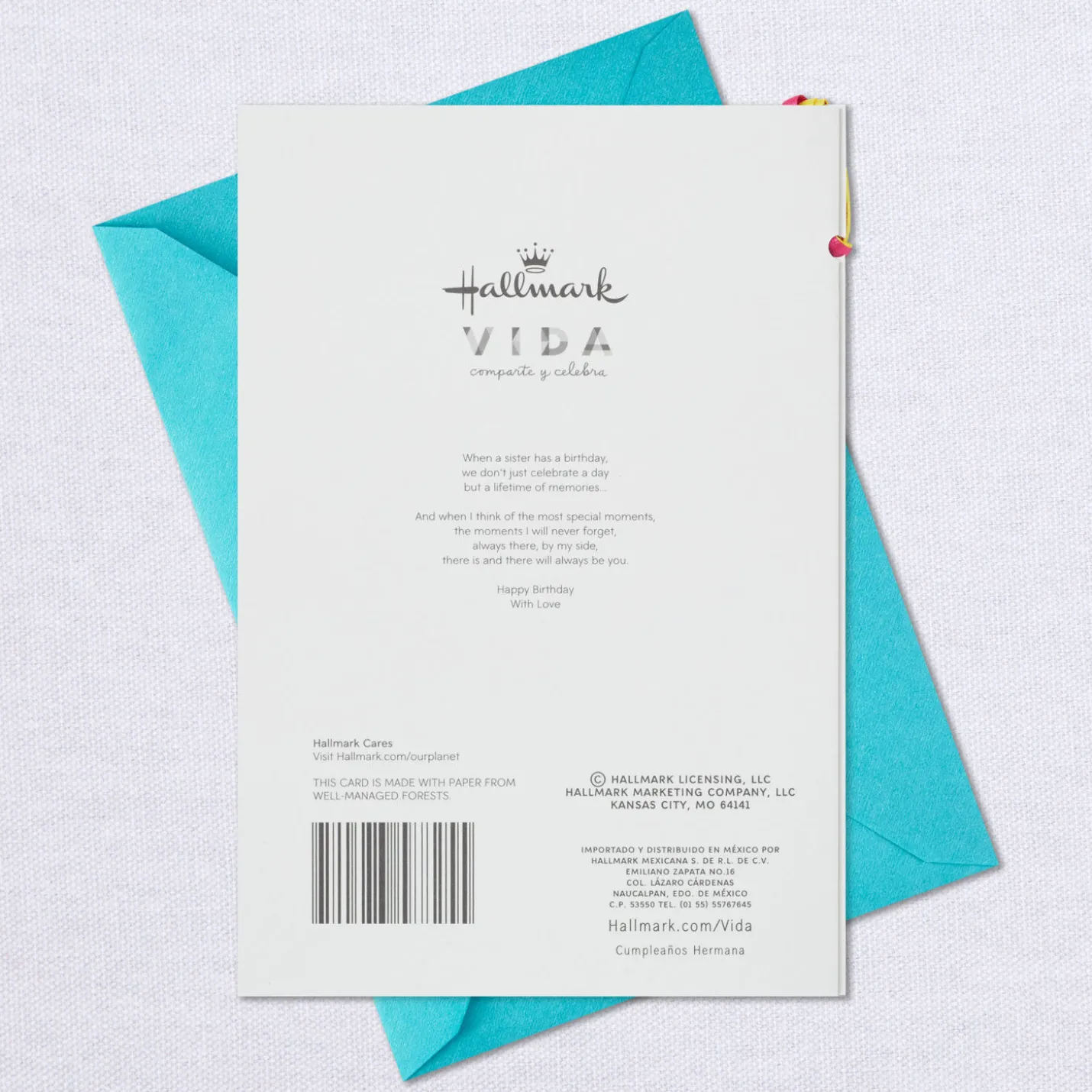 Lifetime of Memories Spanish-Language Birthday Card for Sister