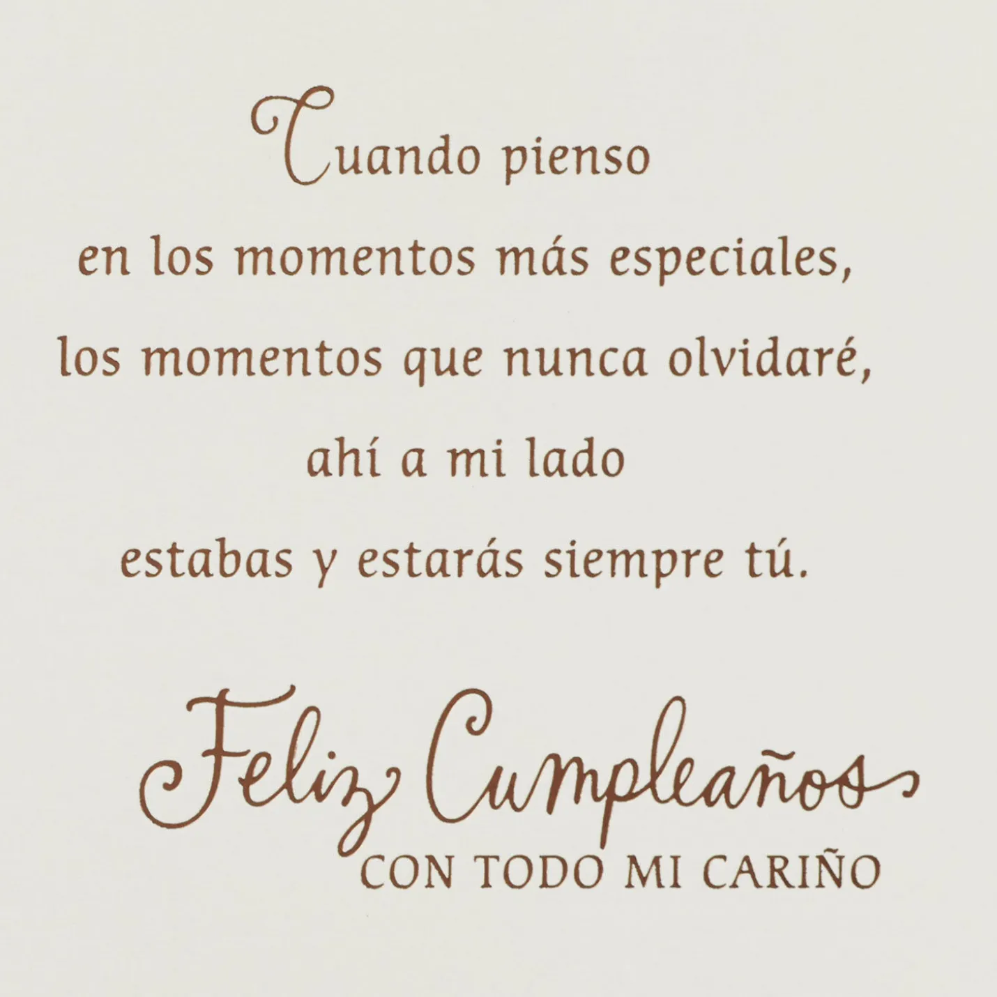 Lifetime of Memories Spanish-Language Birthday Card for Sister