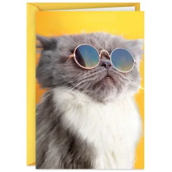 Light the Candles Funny Birthday Card