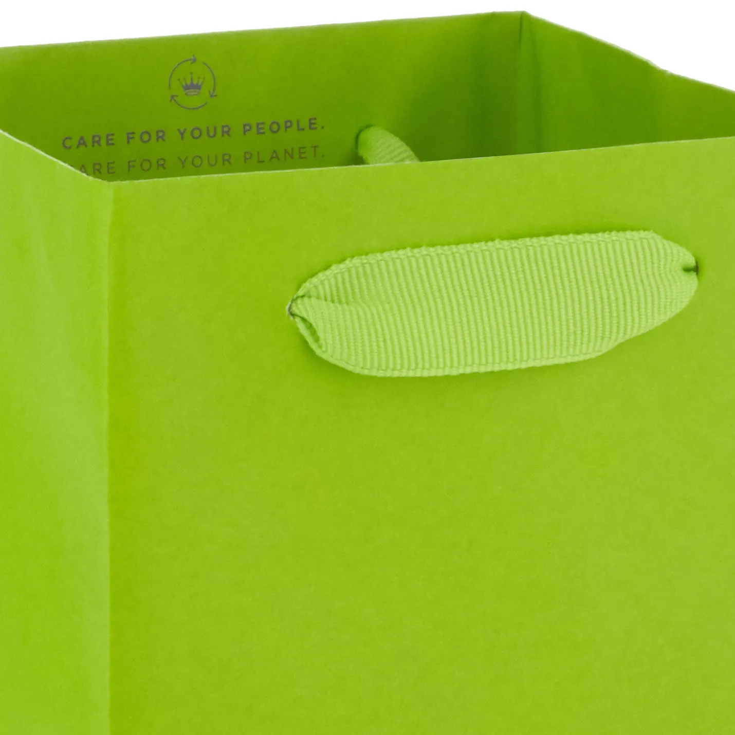 13" Lime Green Wine Gift Bag