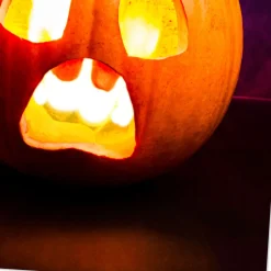 Lit Jack-o'-Lantern Funny Halloween Card