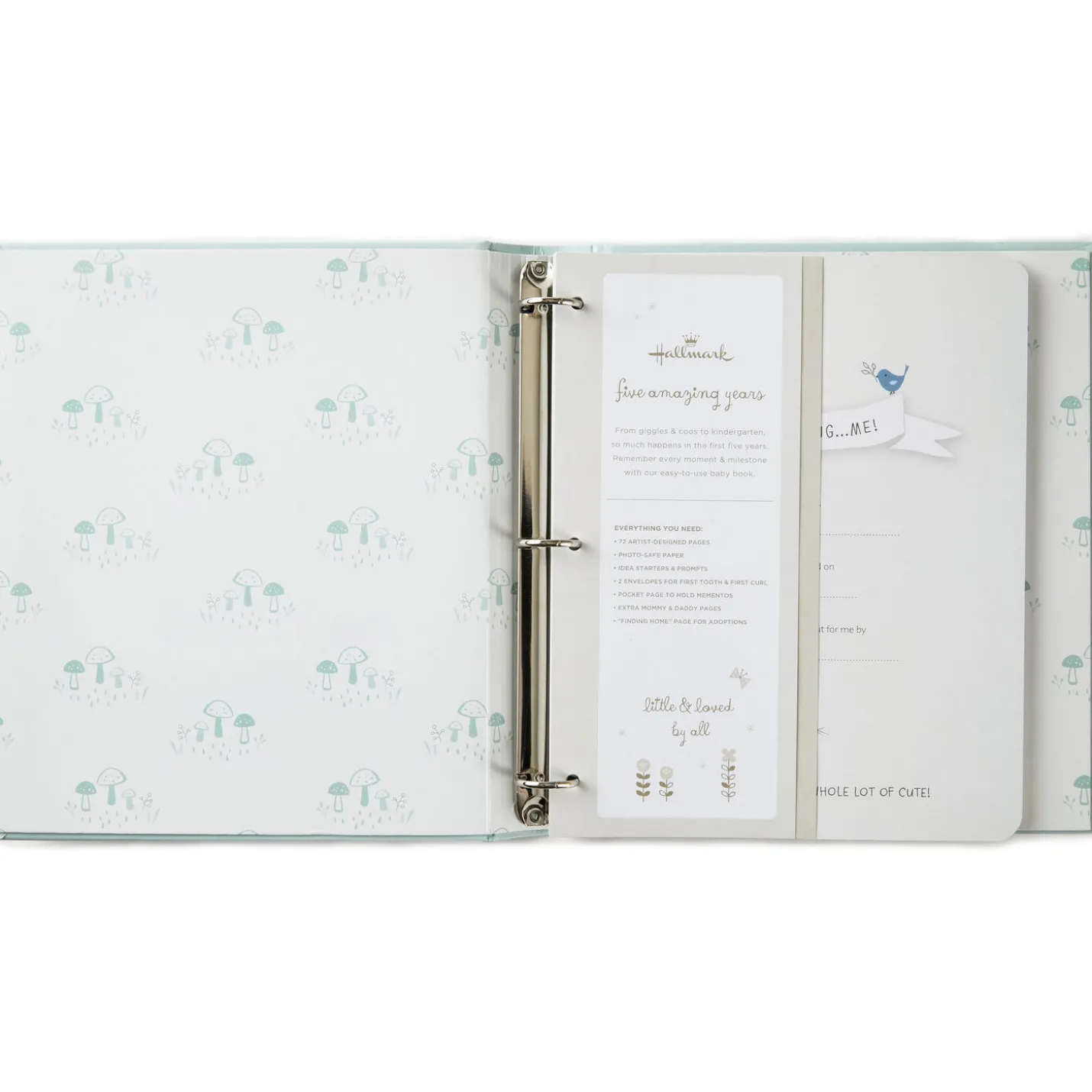 Little Blessings First Five Years Baby Book