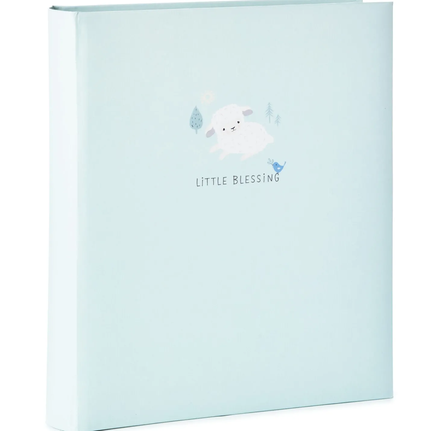 Little Blessings First Five Years Baby Book