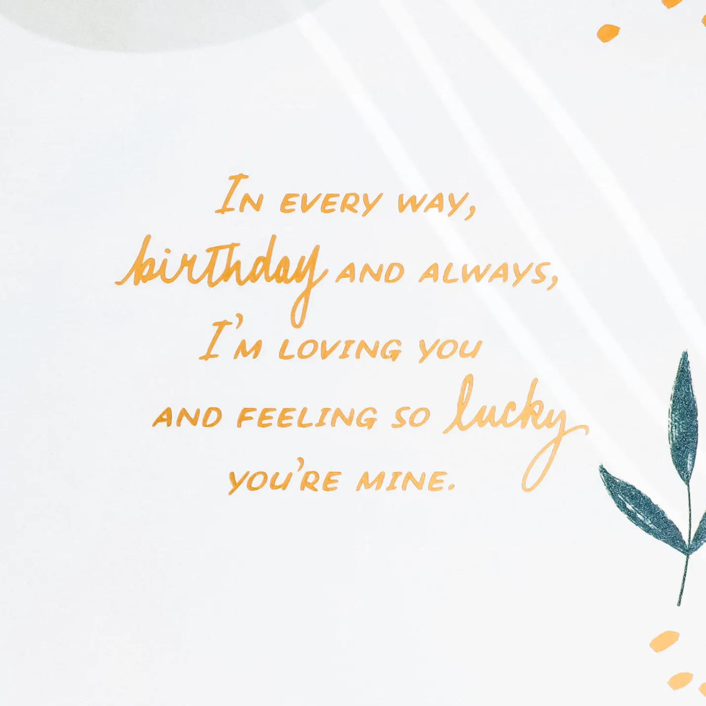 Loving You in Every Way Birthday Card for Wife