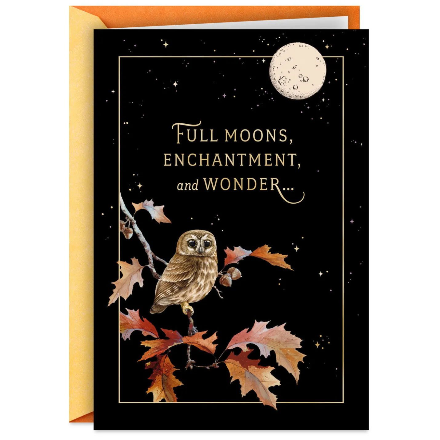 Magical Surprises Halloween Card