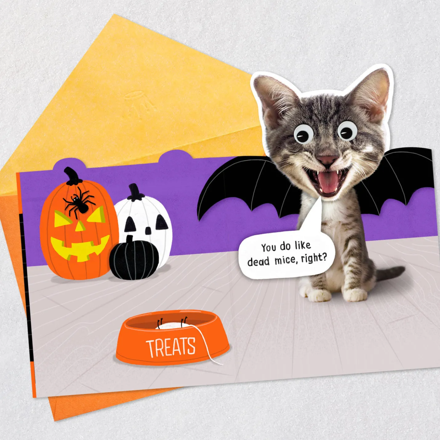 Mice Treats Funny Halloween Card from Cat