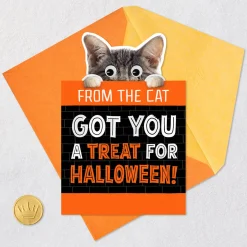 Mice Treats Funny Halloween Card from Cat