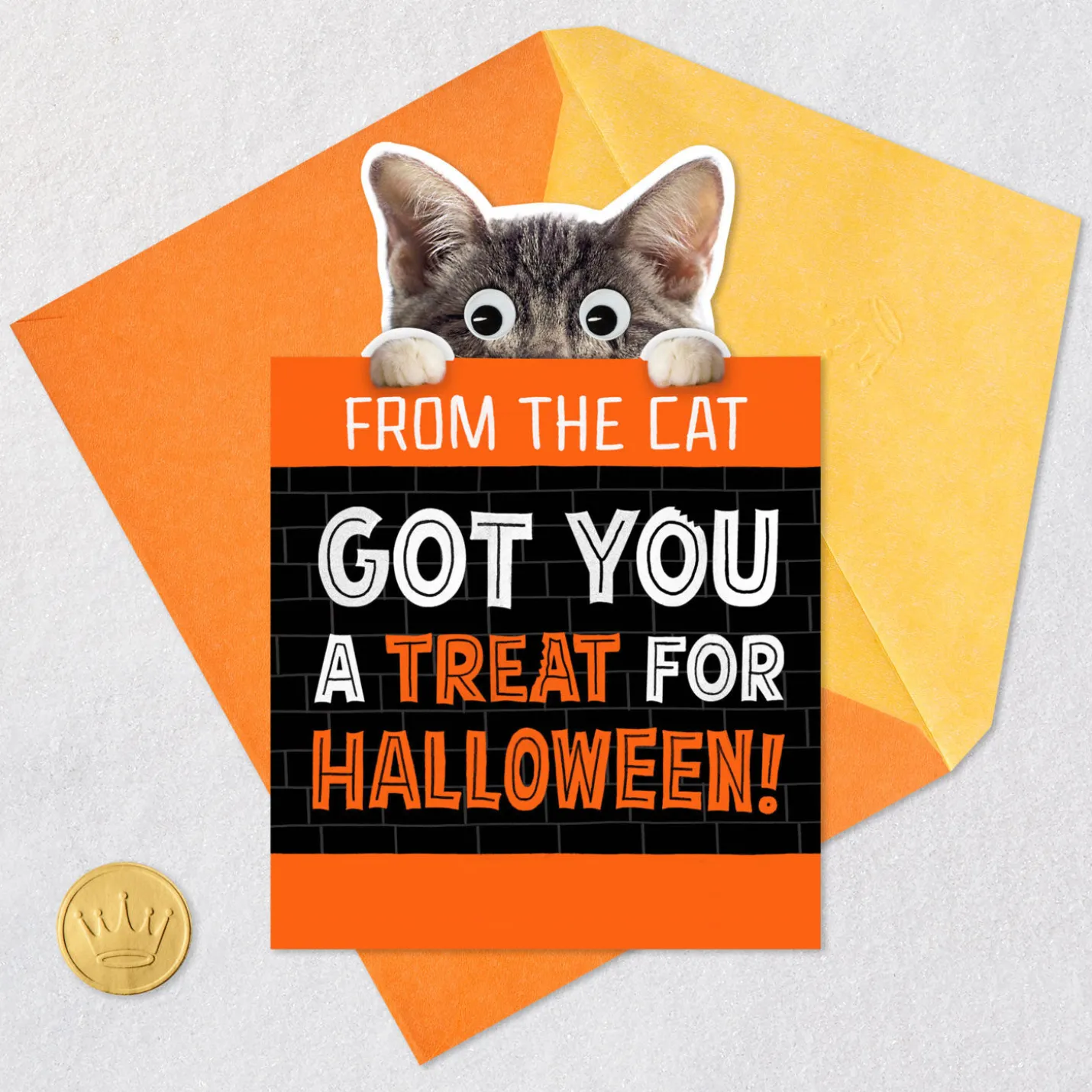 Mice Treats Funny Halloween Card from Cat