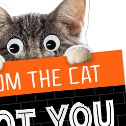 Mice Treats Funny Halloween Card from Cat