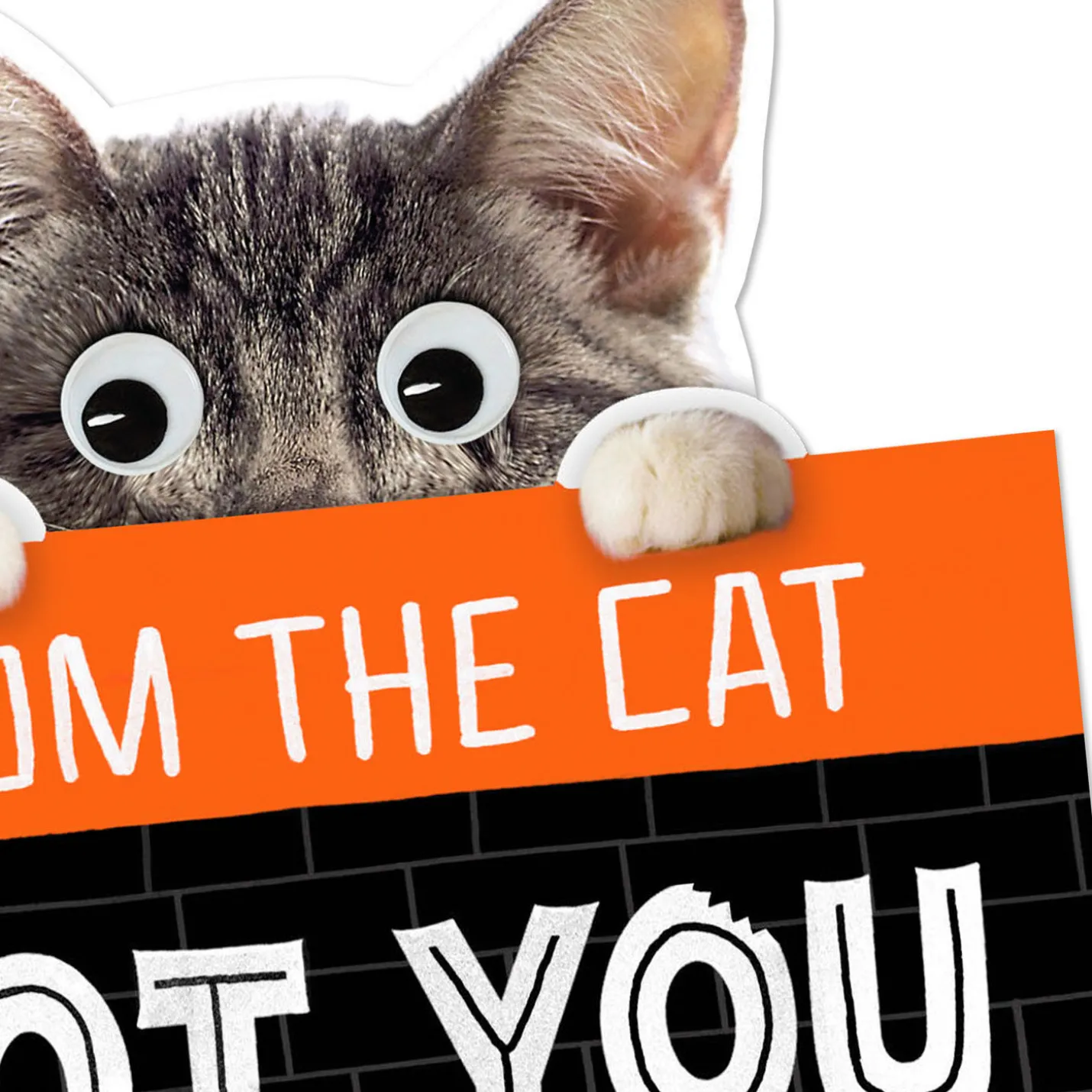 Mice Treats Funny Halloween Card from Cat