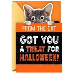 Mice Treats Funny Halloween Card from Cat