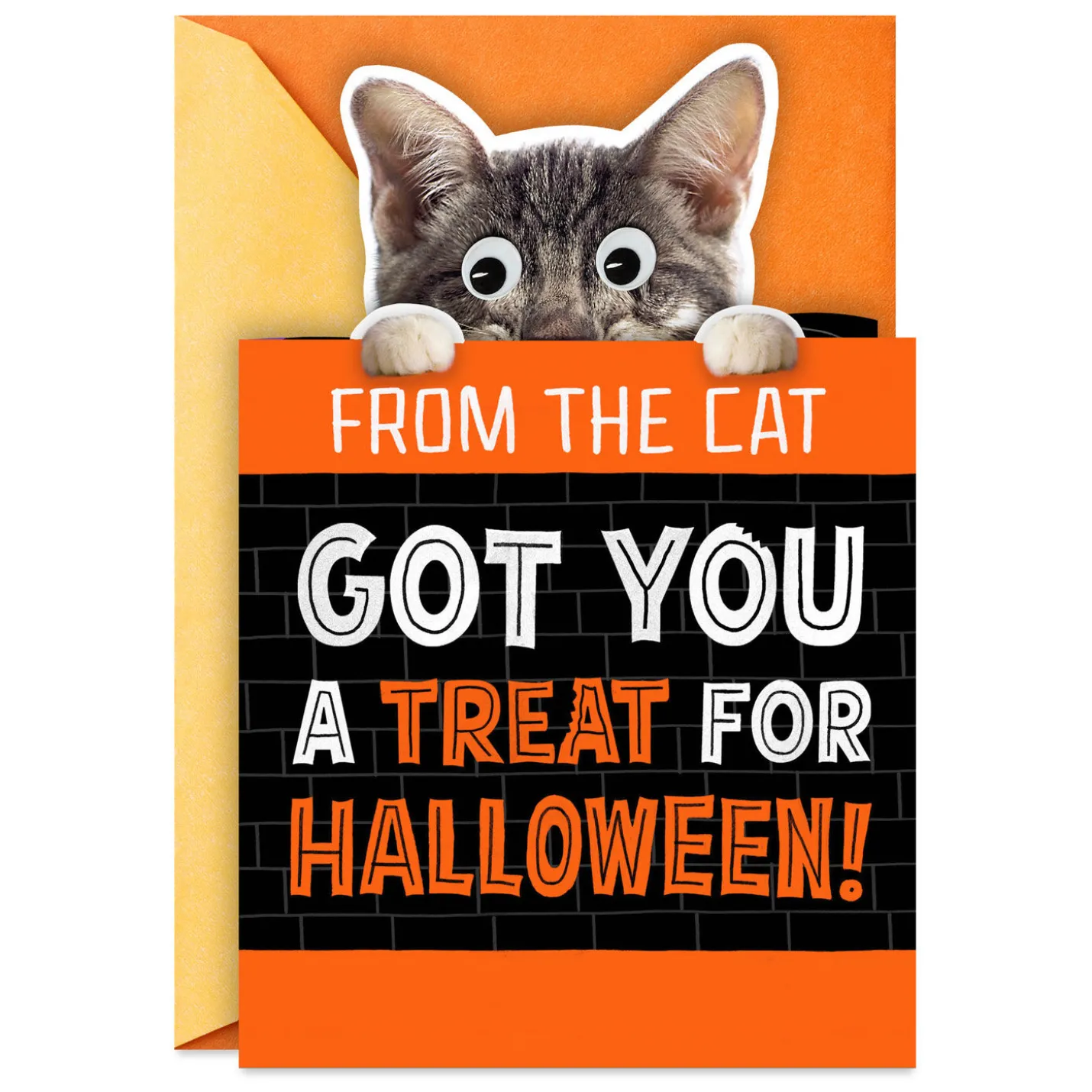 Mice Treats Funny Halloween Card from Cat