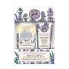 Michel Design Works Lavender Rosemary Foaming Soap and Hand Cream Gift Set