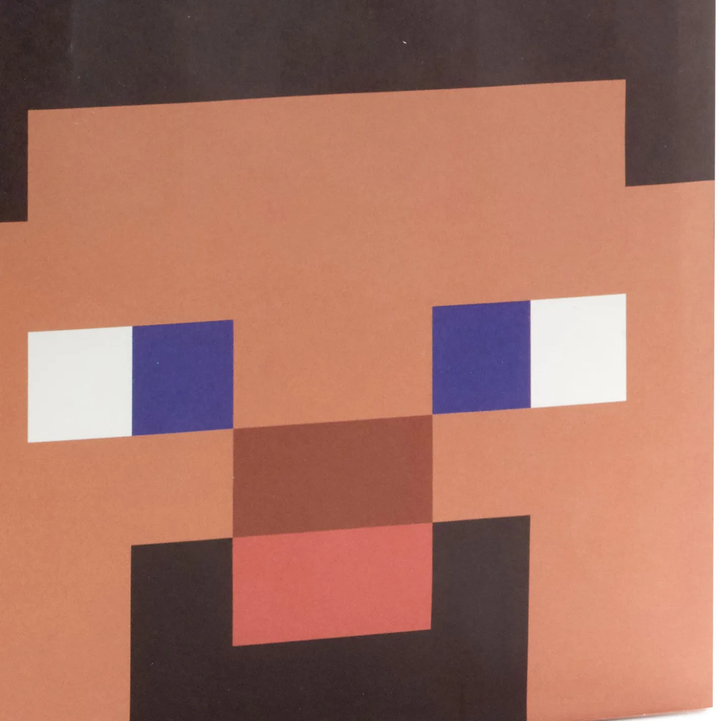 6.5" Minecraft 4-Pack Assorted Small Square Gift Bags