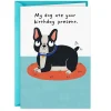 My Dog Ate Your Present Funny Birthday Card