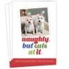 Naughty, but Cute Flat Holiday Photo Card