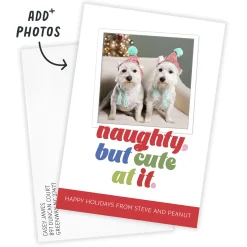 Naughty, but Cute Flat Holiday Photo Card