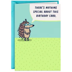 Nothing Special About This Funny Birthday Card