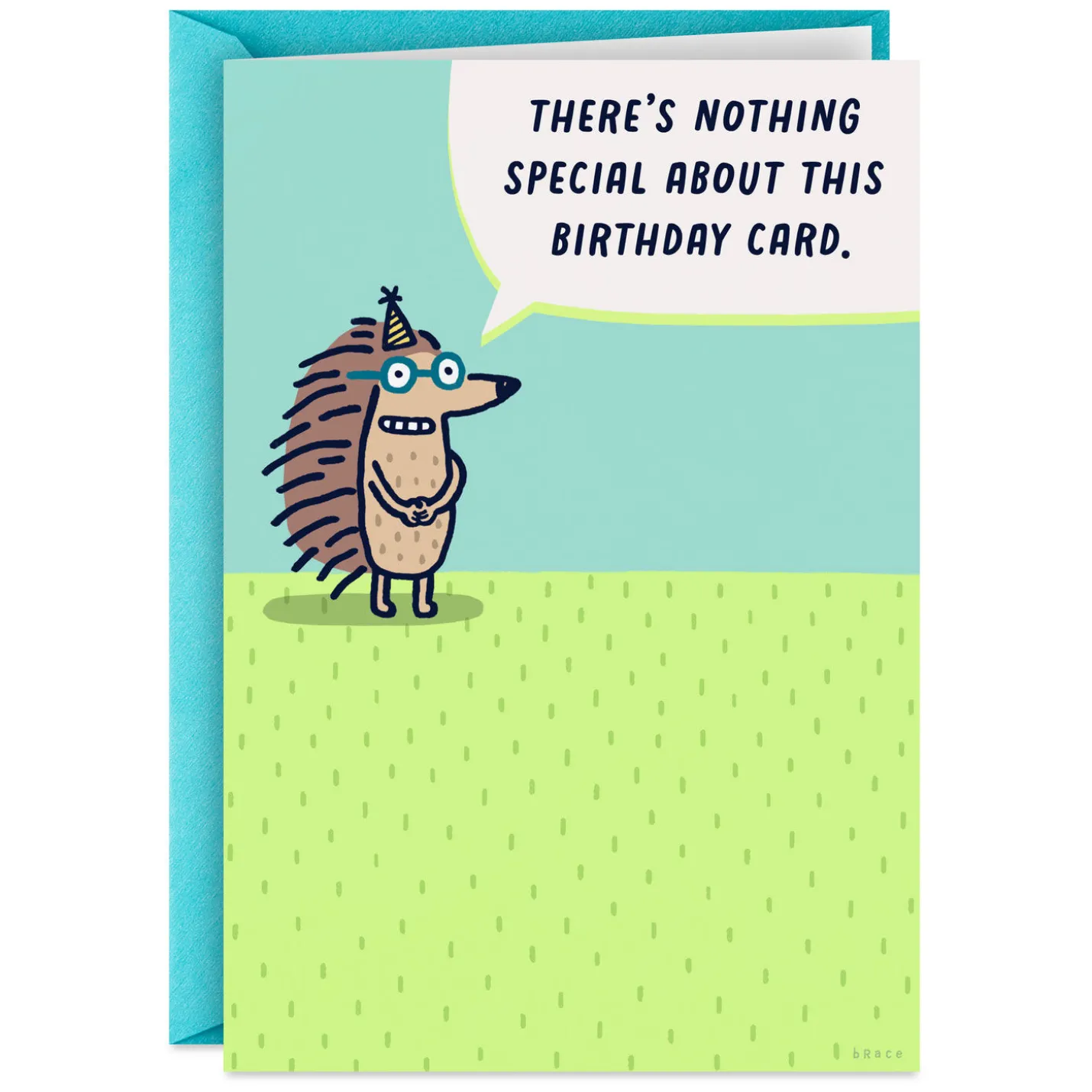 Nothing Special About This Funny Birthday Card
