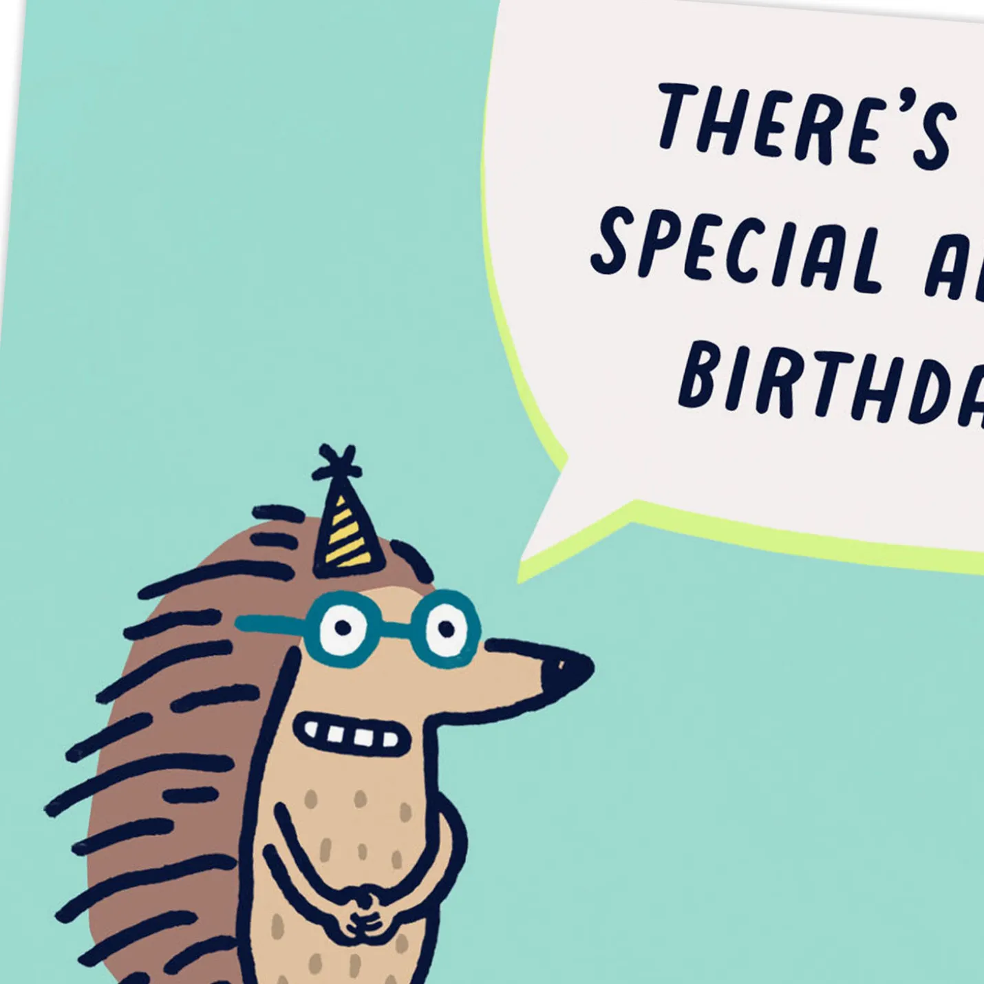Nothing Special About This Funny Birthday Card