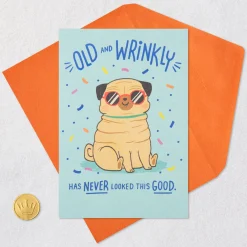Old and Wrinkly Pug Funny Birthday Card