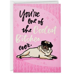 One of the Coolest Bitches Ever Funny Birthday Card