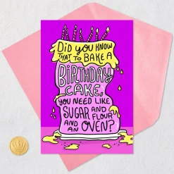 Pardon My Domestic Skills Funny Birthday Card