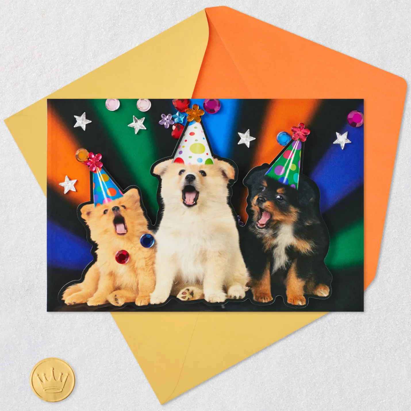 Party Animal Dogs Funny Musical Birthday Card