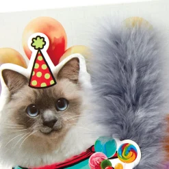 Party Cat Funny Musical Birthday Card With Motion