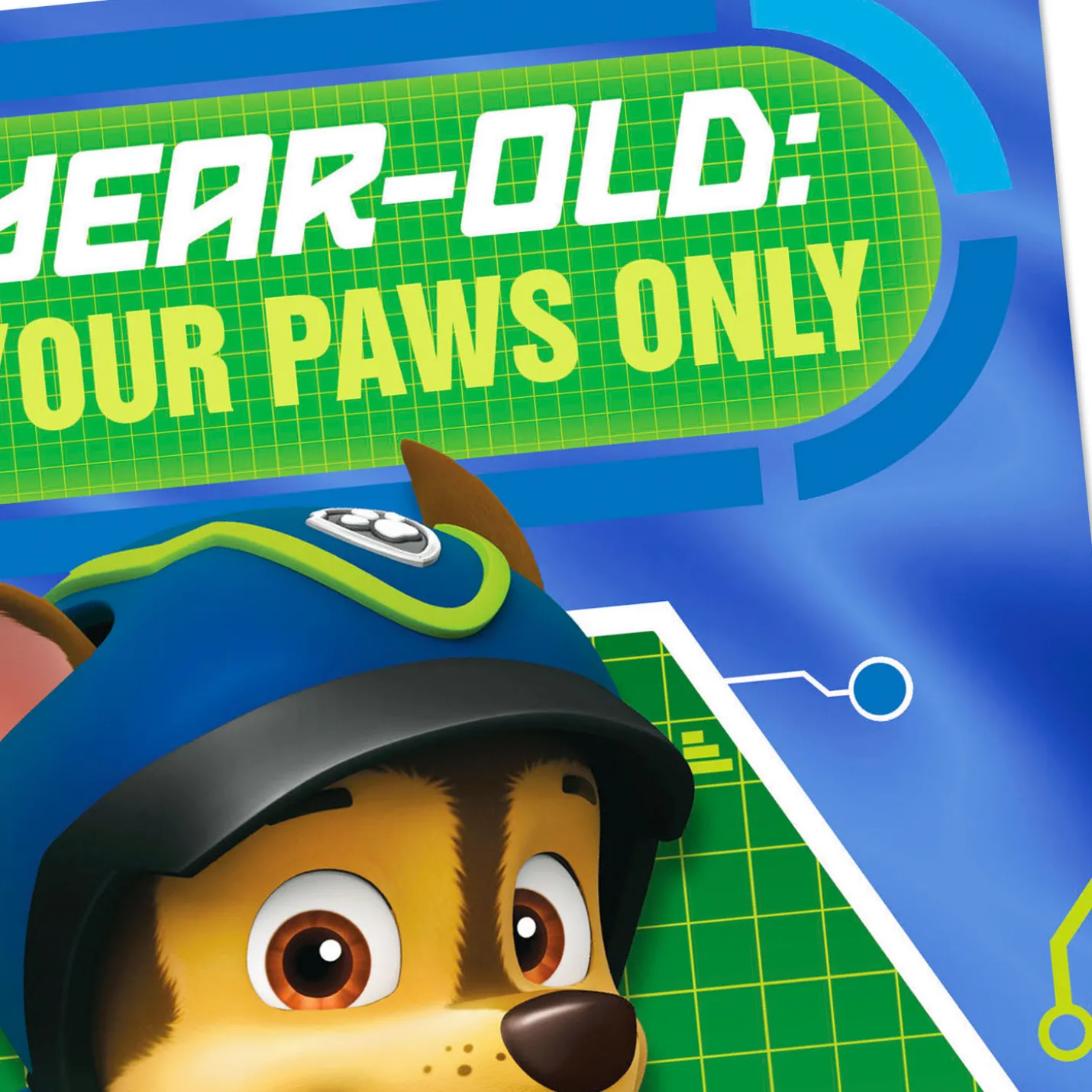 Paw Patrol™ Chase and Friends 4th Birthday Card