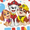 Paw Patrol™ Forever Fun Birthday Card for Kids
