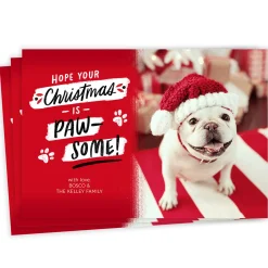 Paw-Some Pet Flat Christmas Photo Card