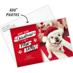 Paw-Some Pet Flat Christmas Photo Card