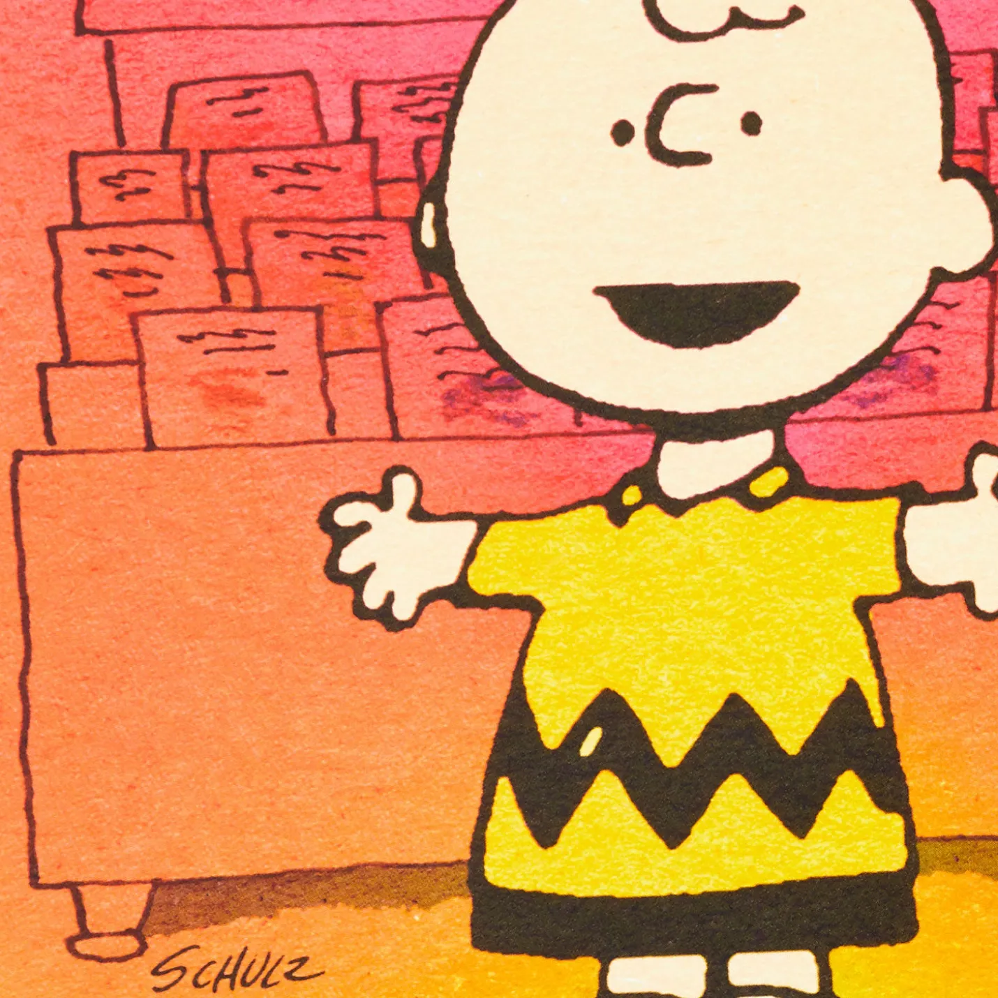 Peanuts® Charlie Brown Wonderful You Funny Birthday Card With Mini Cards