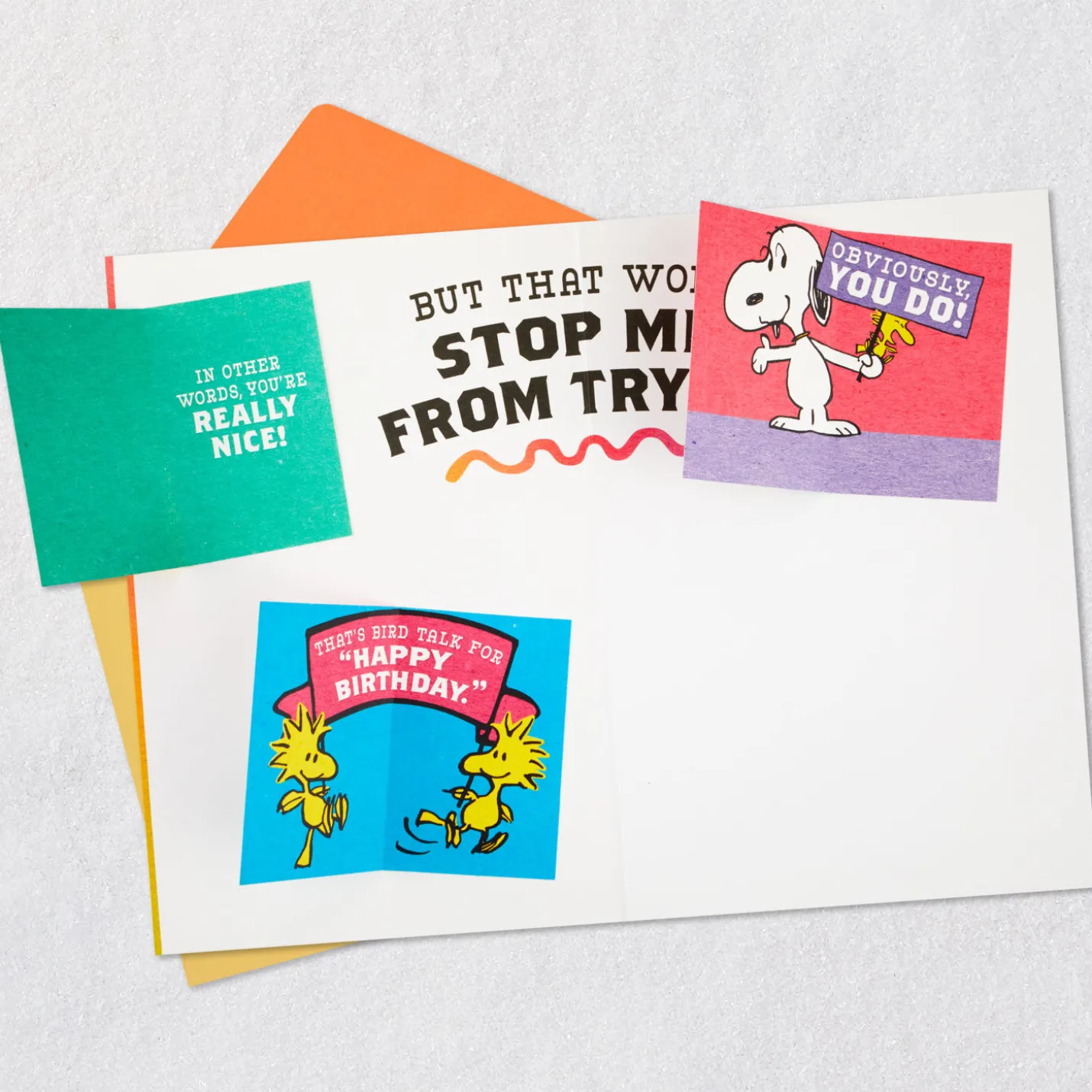 Peanuts® Charlie Brown Wonderful You Funny Birthday Card With Mini Cards