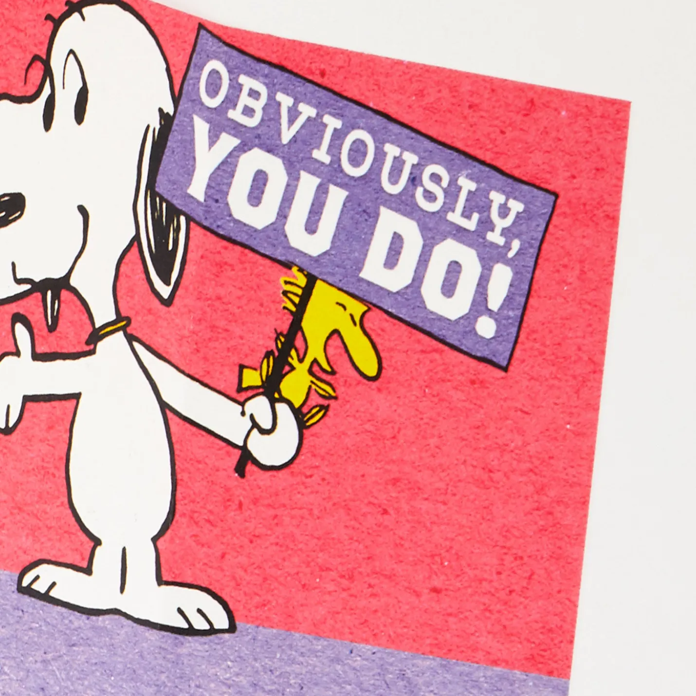 Peanuts® Charlie Brown Wonderful You Funny Birthday Card With Mini Cards
