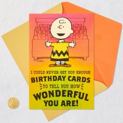 Peanuts® Charlie Brown Wonderful You Funny Birthday Card With Mini Cards
