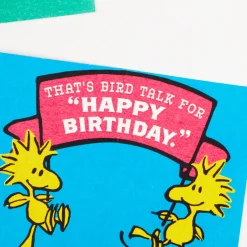 Peanuts® Charlie Brown Wonderful You Funny Birthday Card With Mini Cards