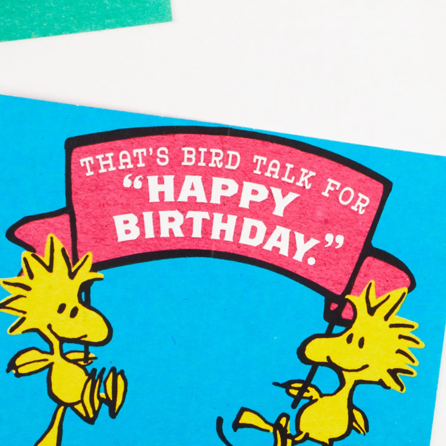 Peanuts® Charlie Brown Wonderful You Funny Birthday Card With Mini Cards